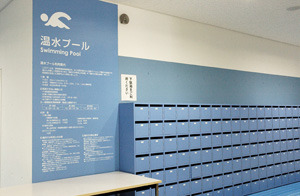 シューズボックス 